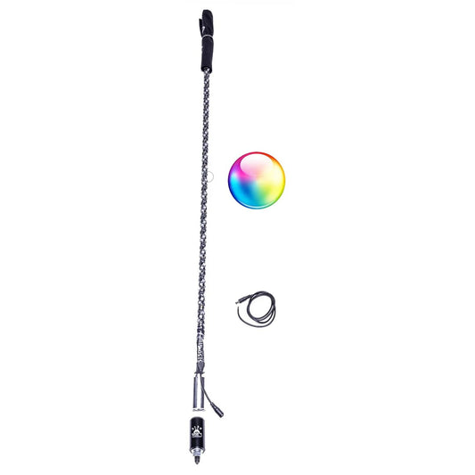 LED Whip w/ Bluetooth